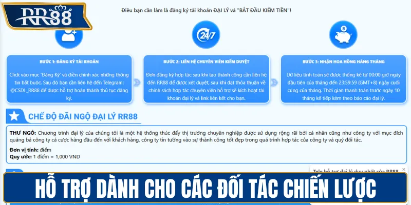Hỗ trợ toàn diện dành cho các đối tác chiến lược