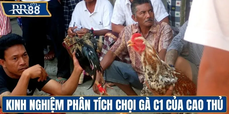 Kinh nghiệm phân tích các trận chọi gà C1