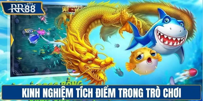 Kinh nghiệm tích điểm trong trò chơi săn thưởng