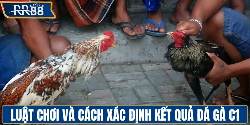 Luật chơi và cách xác định thắng - thua trong trận đấu