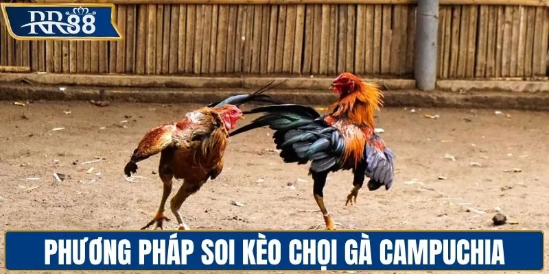 Phương pháp soi kèo thắng lớn của cao thủ