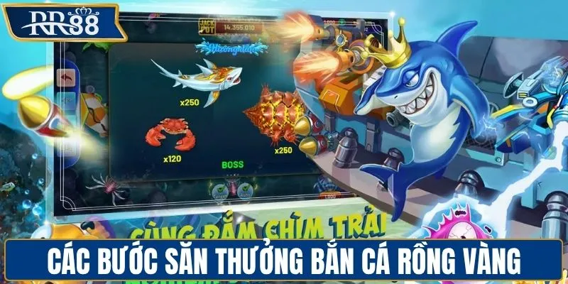 Quy trình săn thưởng bắn cá Rồng Vàng cần nắm