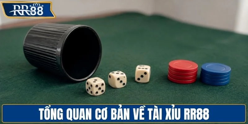 Tổng quan cơ bản về tài xỉu RR88